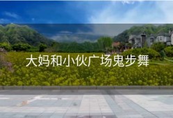 大妈和小伙广场鬼步舞