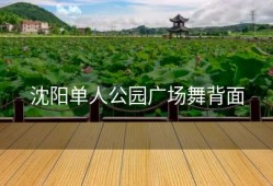 沈阳单人公园广场舞背面