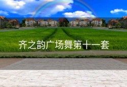 齐之韵广场舞第十一套