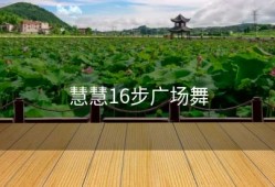 慧慧16步广场舞