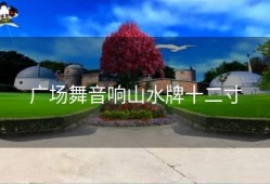 广场舞音响山水牌十二寸