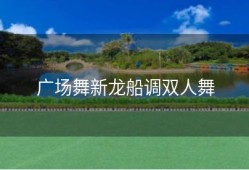 广场舞新龙船调双人舞