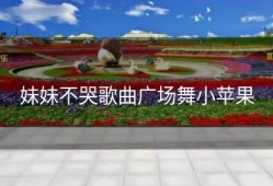 妹妹不哭歌曲广场舞小苹果