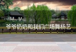 爷爷奶奶和我们广场舞杨艺