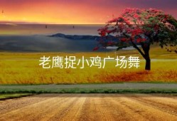 老鹰捉小鸡广场舞