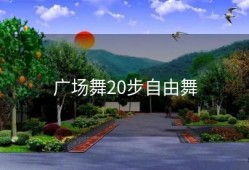 广场舞20步自由舞