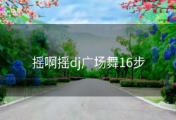 摇啊摇dj广场舞16步