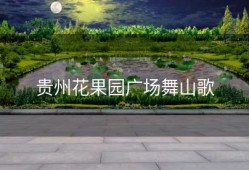 贵州花果园广场舞山歌