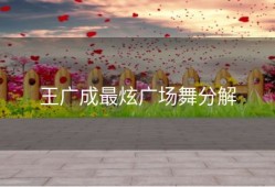 王广成最炫广场舞分解