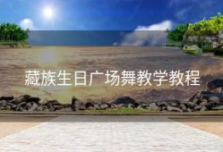 藏族生日广场舞教学教程