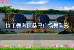 拉丁舞激情桑巴广场舞队形