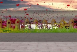 广场舞绒花教学