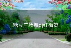 糖豆广场舞dj红梅赞