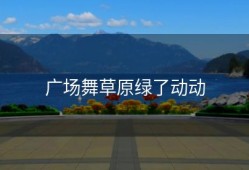 广场舞草原绿了动动