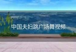 中国夫妇跳广场舞视频