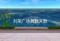 刘荣广场舞数天数