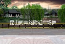 昆山同丰路附近广场舞