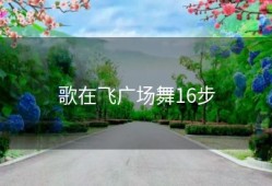 歌在飞广场舞16步