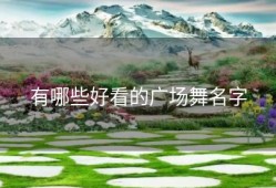 有哪些好看的广场舞名字