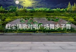 红尘情歌对唱广场舞步子舞