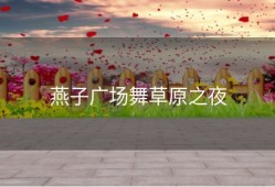 燕子广场舞草原之夜