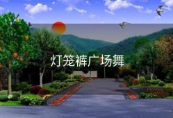 灯笼裤广场舞