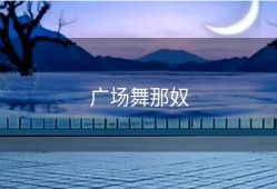广场舞那奴