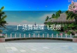 广场舞蝴蝶飞视频
