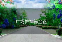 广场舞神器金正