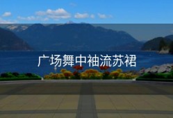 广场舞中袖流苏裙