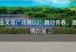 金芙蓉广场舞DJ：舞动青春，激情四溢
