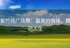 紫竹苑广场舞：最美的情缘，舞动人生