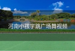 河南小孩学跳广场舞视频