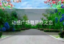 动感广场舞草原之恋