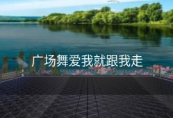 广场舞爱我就跟我走