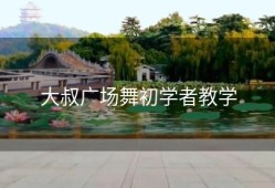 大叔广场舞初学者教学