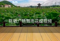 陈敏广场舞雨花蝶视频