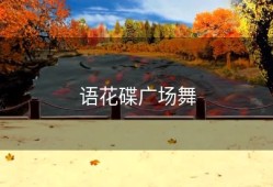 语花碟广场舞