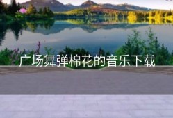 广场舞弹棉花的音乐下载