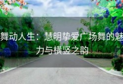舞动人生：慧明挚爱广场舞的魅力与横竖之韵
