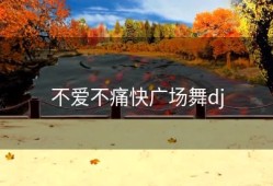 不爱不痛快广场舞dj