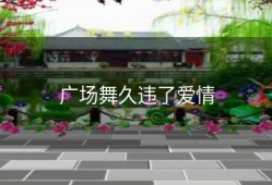 广场舞久违了爱情