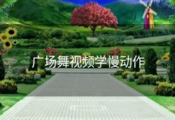 广场舞视频学慢动作