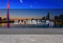双人广场舞中三步