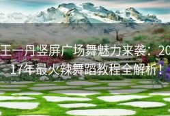 王一丹竖屏广场舞魅力来袭：2017年最火辣舞蹈教程全解析！