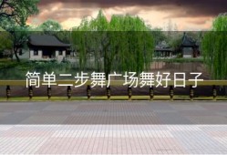 简单二步舞广场舞好日子