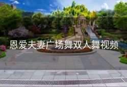 恩爱夫妻广场舞双人舞视频