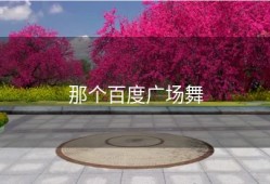 那个百度广场舞