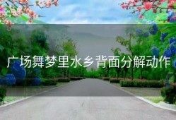 广场舞梦里水乡背面分解动作