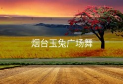 烟台玉兔广场舞